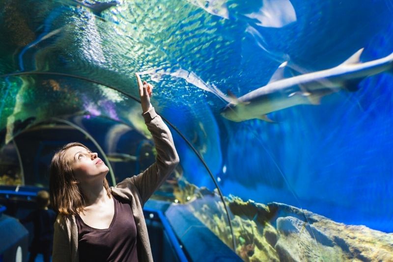34 – Explore the longest underwater tunnel in Malaysia at Aquaria KLCC