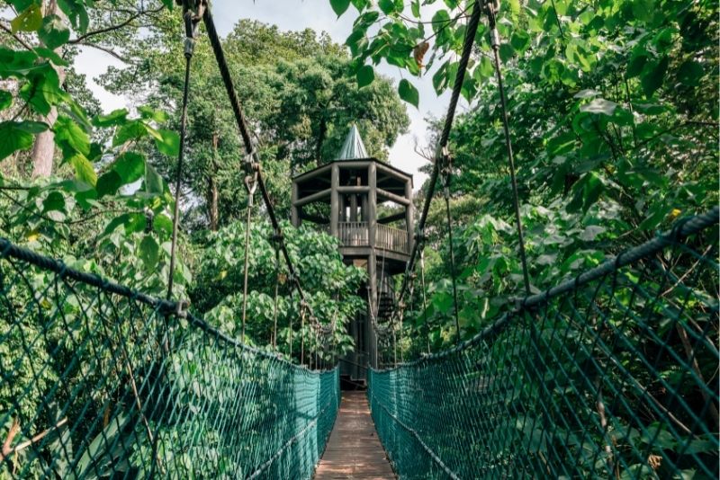 39 – Unwind surrounded by nature at KL Forest Eco Park