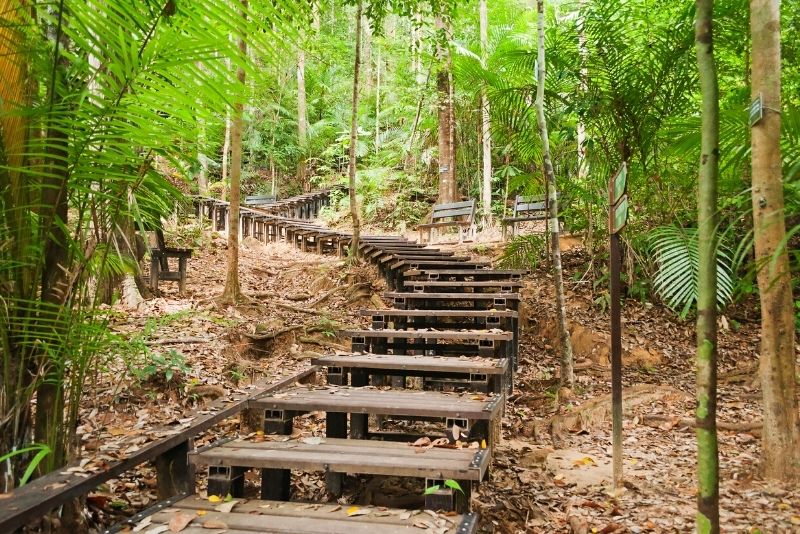 37 – Make a trip to Taman Negara, a nature enthusiast’s delight